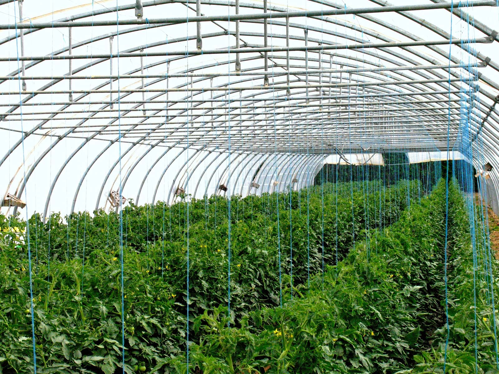 Cum construiesti un mediu sigur pentru gradina de legume cu 6m latime plasa de umbrire?