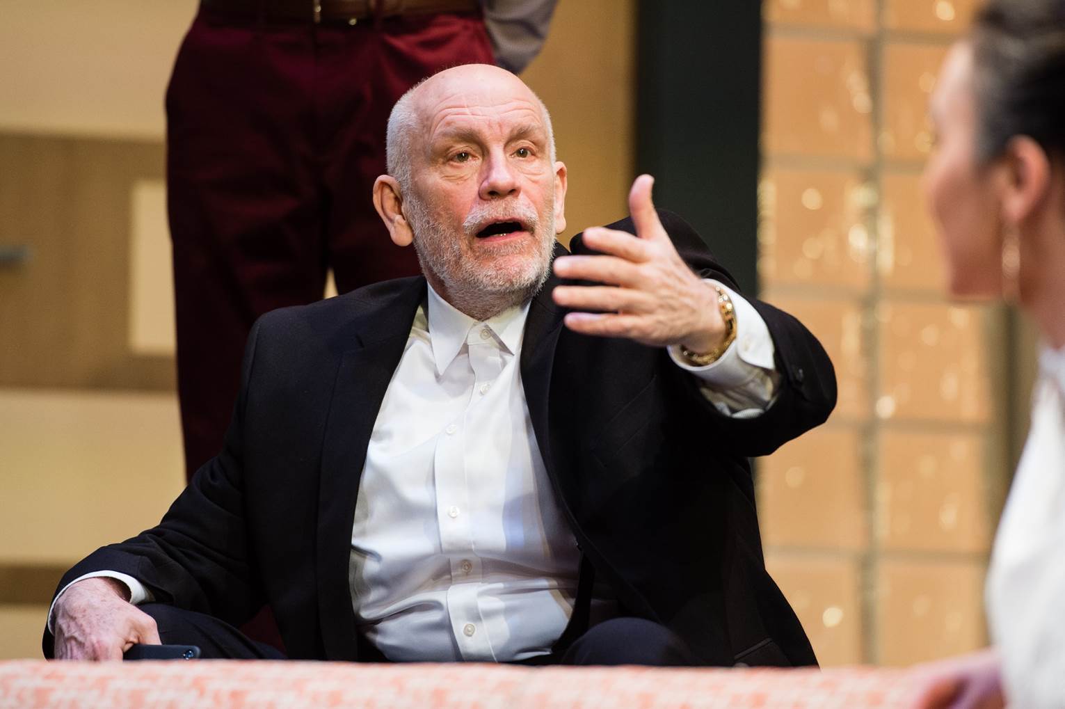 John Malkovich il va interpreta pe Sergiu Celibidache in filmul biografic Cravata Galbena