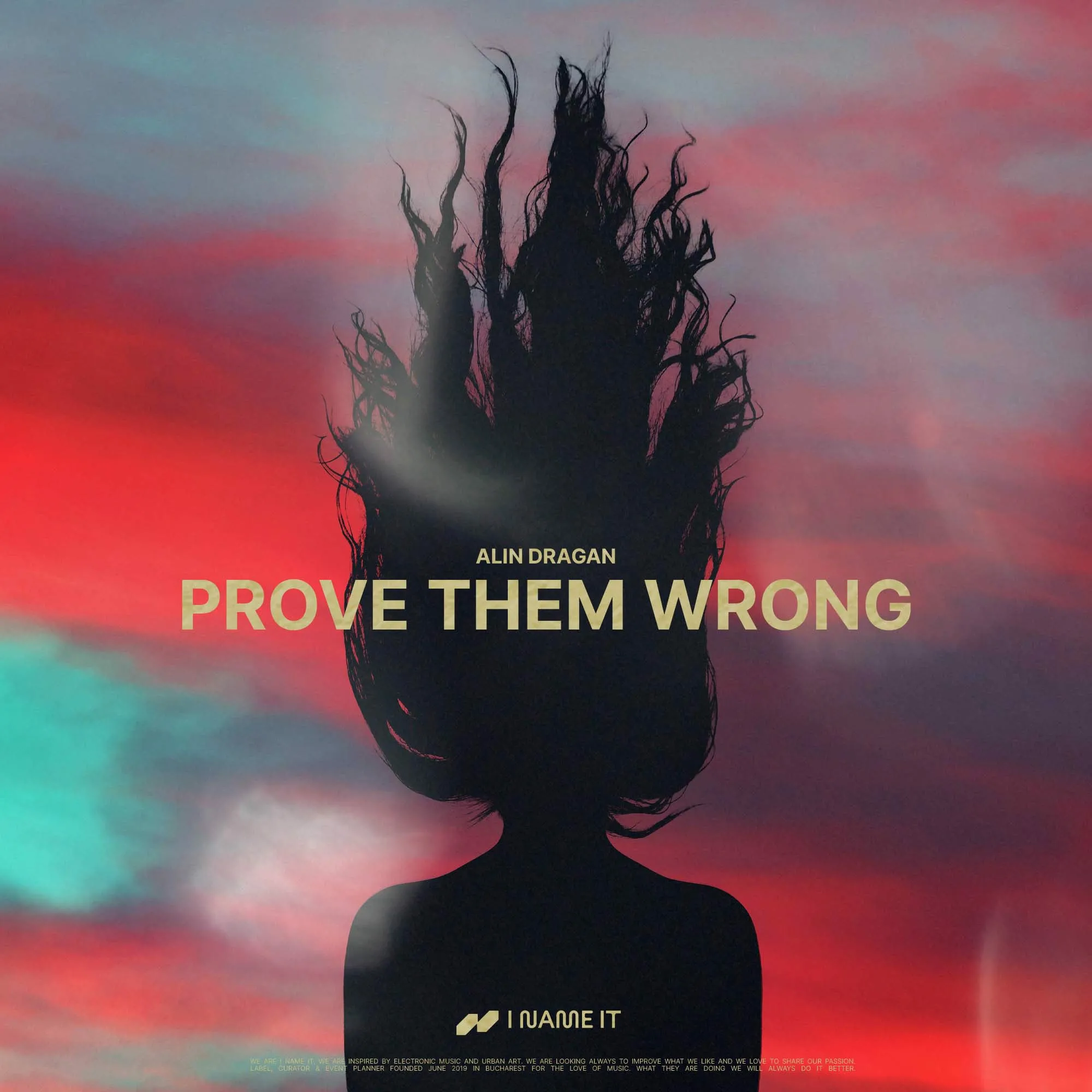 Tu de cate ori ai incercat sa le demonstrezi tuturor contrariul? Alin Dragan lanseaza „Prove Them Wrong”, o piesa deep, ca o lectie de viata