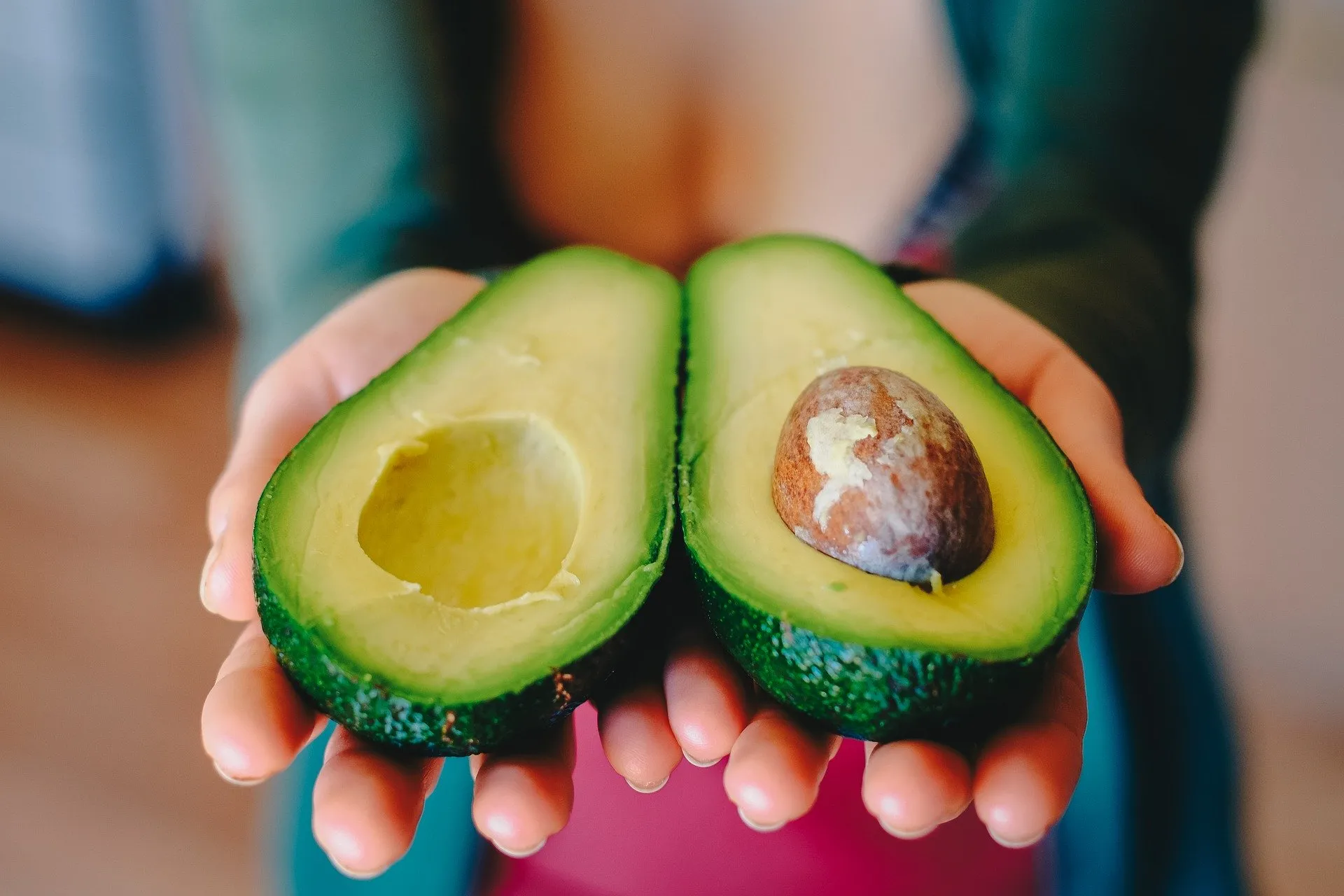 Cum să îți cultivi propriul arbore de avocado