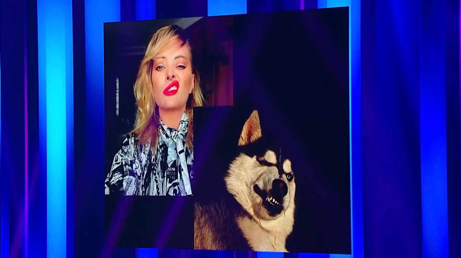 Sâmbătă, de la 20.00, la Antena 1, Un concurent crede că a găsit animalul de companie perfect pentru fiecare jurat iUmor