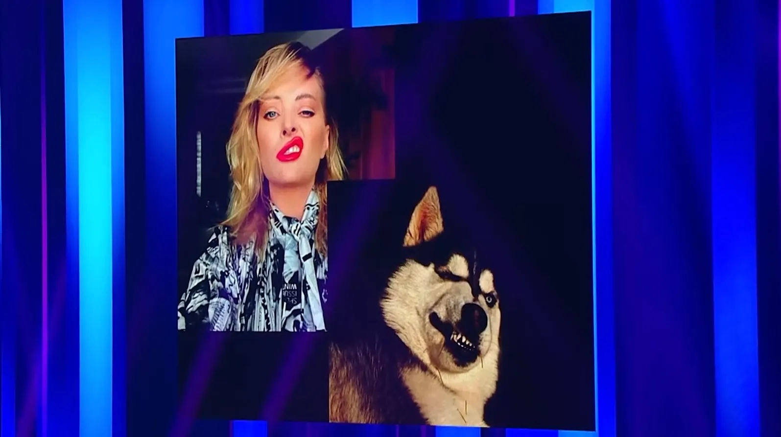 Sâmbătă, de la 20.00, la Antena 1, Un concurent crede că a găsit animalul de companie perfect pentru fiecare jurat iUmor