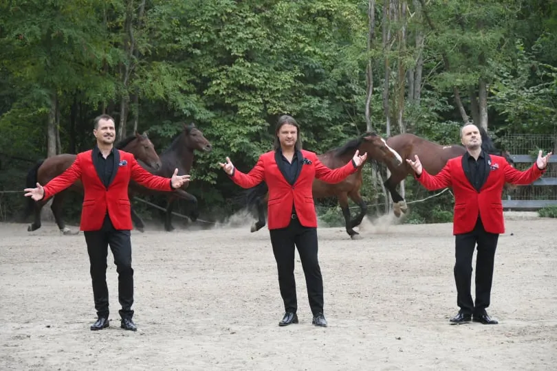 Trupa Distinto lansează un nou videoclip pop-opera