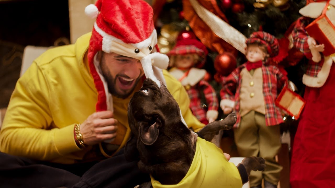 Surpriza de la Dorian Popa: a lansat colaborarea de iarna Chelutu feat. Dorian Popa – „Chelutu cu Bradutu”