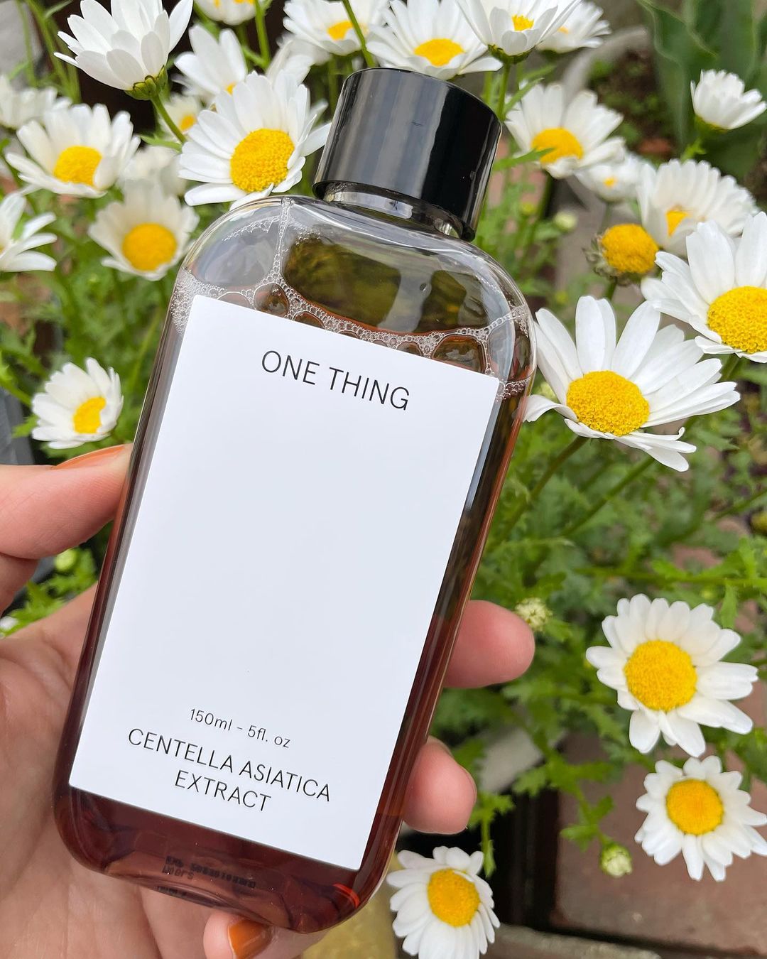 Lumea sustenabila a produselor cosmetice coreene