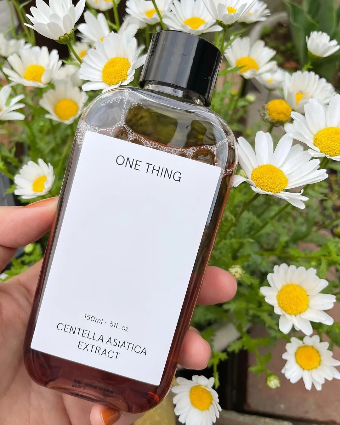 Lumea sustenabila a produselor cosmetice coreene