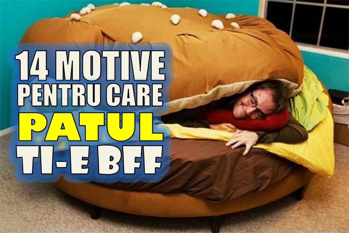 14 motive pentru care PATUL ți-e cel mai bun PRIETEN