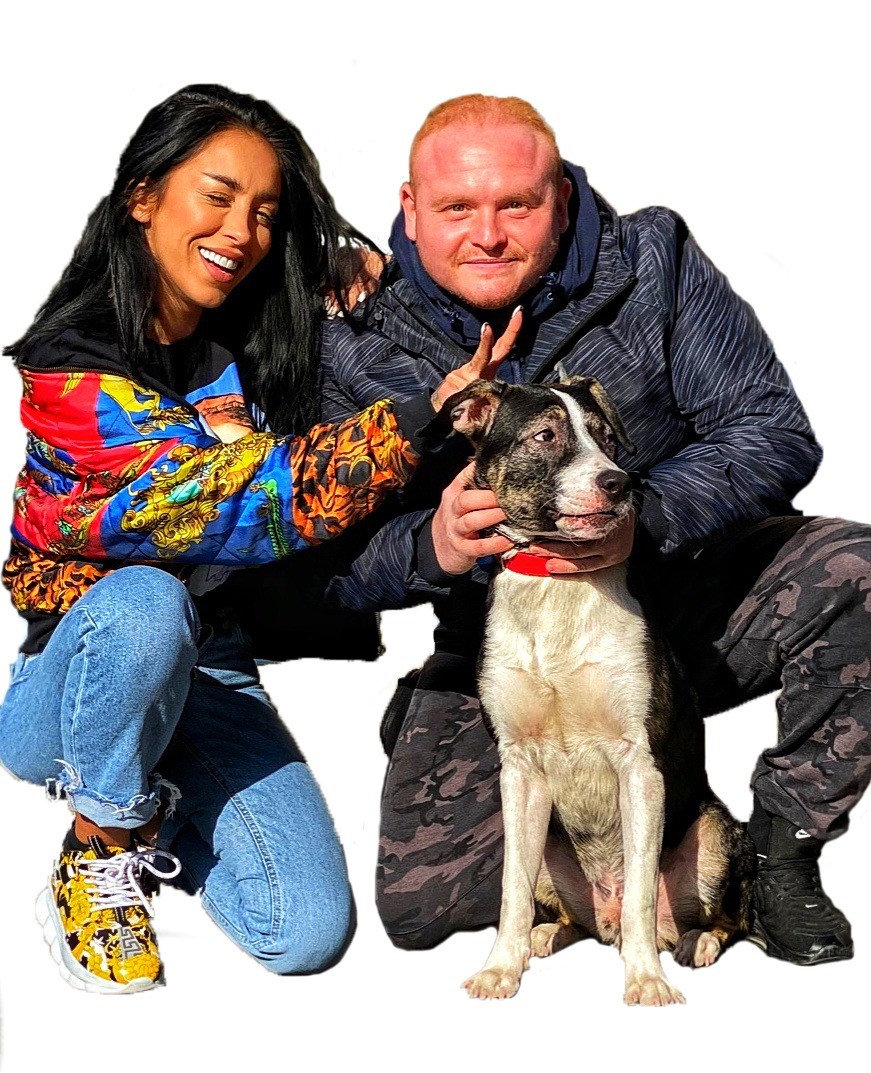 Mihai Nae si experientele lui cu cainii vedetelor. Azi povesteste despre Ruby