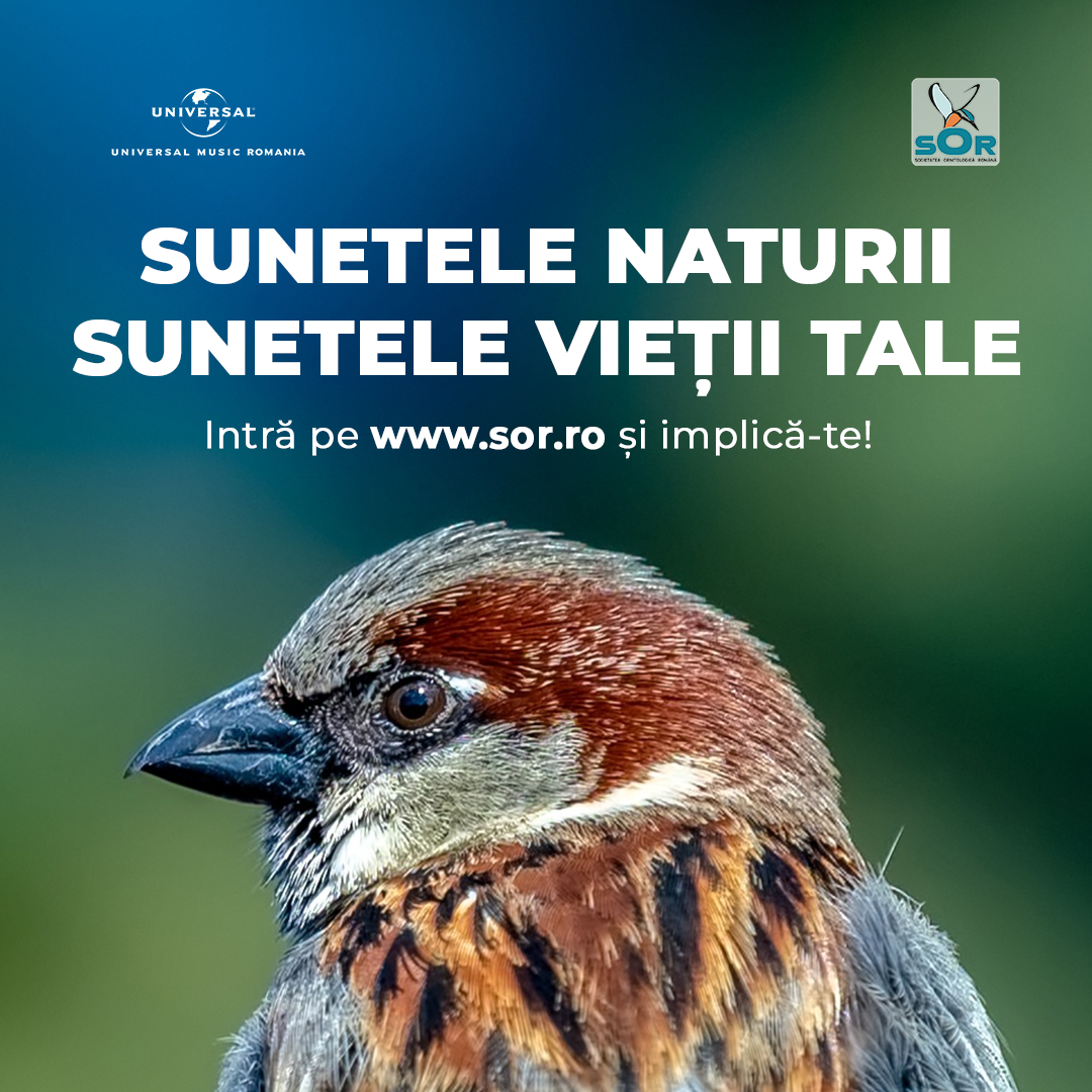 Societatea Ornitologică Română şi Universal Music România lansează albumul Sunetele Naturii. Sunetele Vieţii Tale