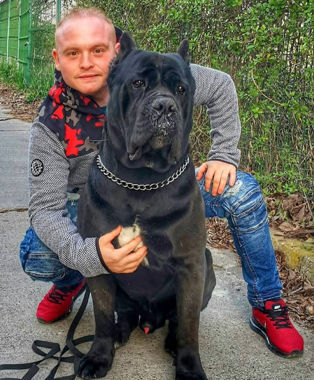 Mihai Nae si experientele lui cu cainii vedetelor. Azi povesteste despre cel al Raluca de la Bambi