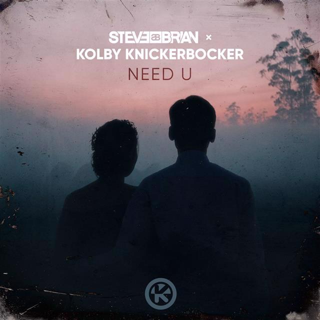 Steve Brian si Kolby Knickerbocker fac un mix intre vechi si nou si ne poarta prin stari in „Need U”