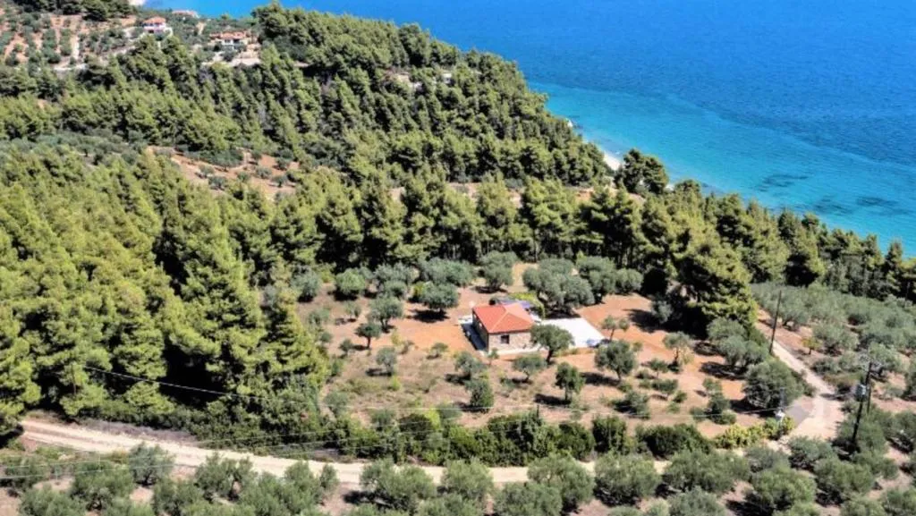 Tendintele anului 2023 in industria evenimentelor: cererea pentru evenimente outdoor și exclusiviste in tari precum Grecia e in crestere