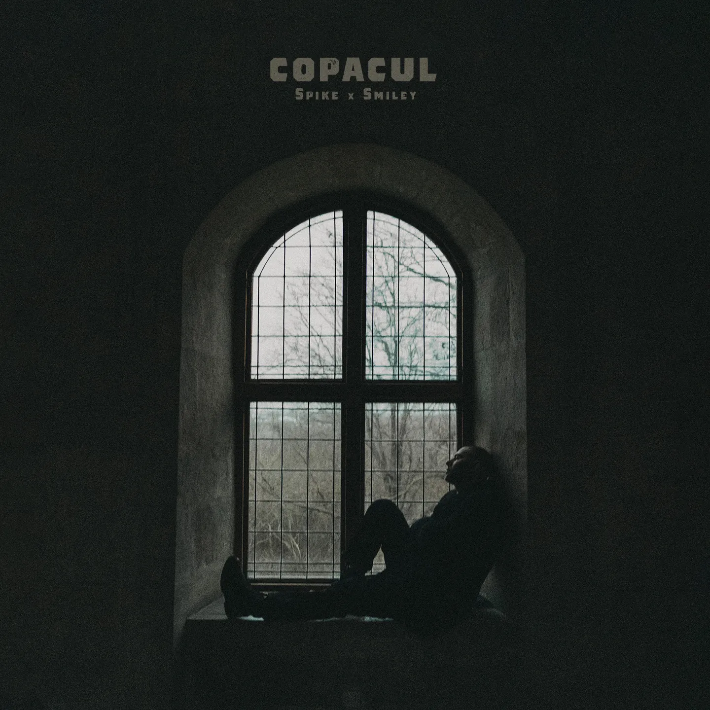 Spike lansează „Copacul”, o piesă sensibilă despre familie, în colaborare cu Smiley