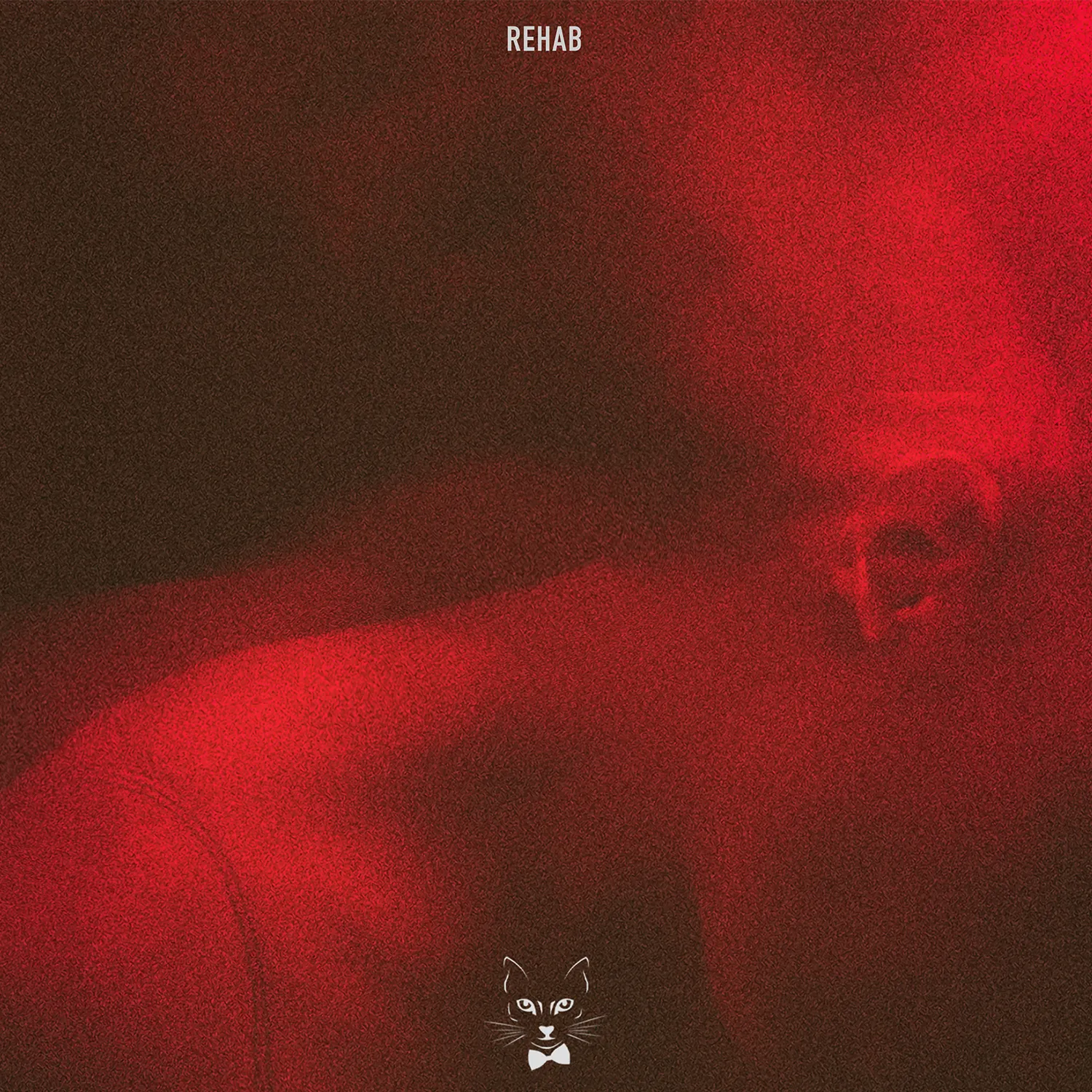 Despre dependența de dragoste – REHAB – noul EP The Motans