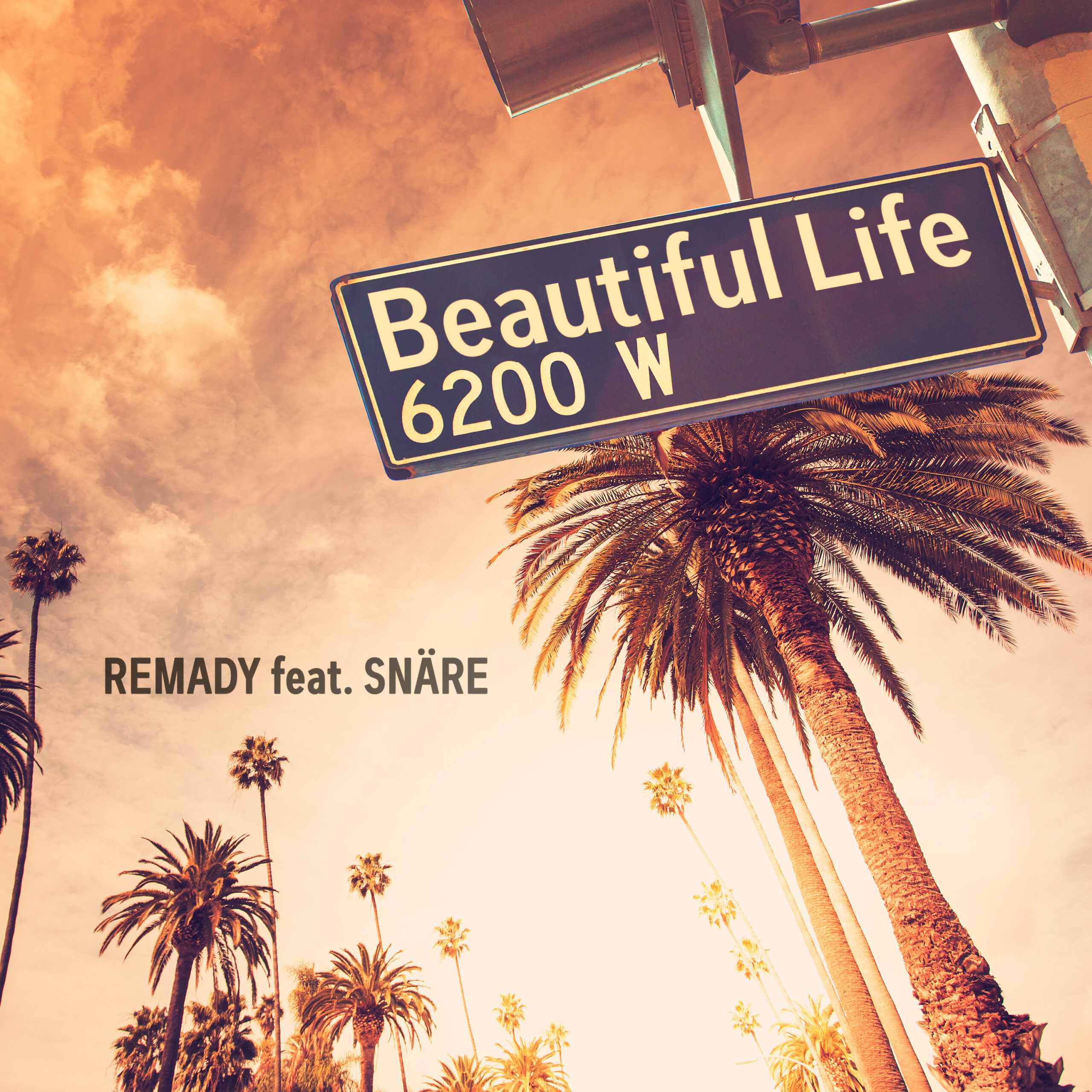 REMADY face echipă cu SNARE pentru “Beautiful Life”