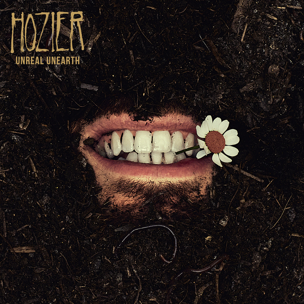 Hozier a lansat single-ul “Francesa” și anunță noul album
