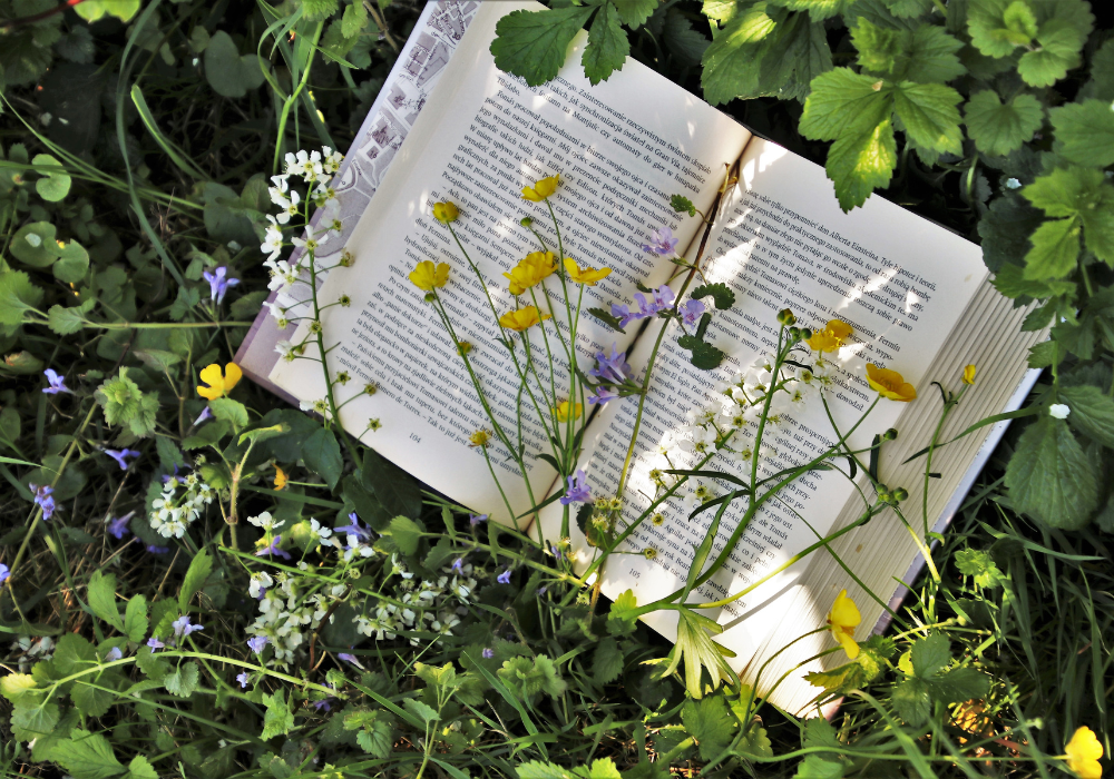 Primăvara aceasta, relaxarea este completă cu o carte pe măsură – Comandă online cele mai noi titluri