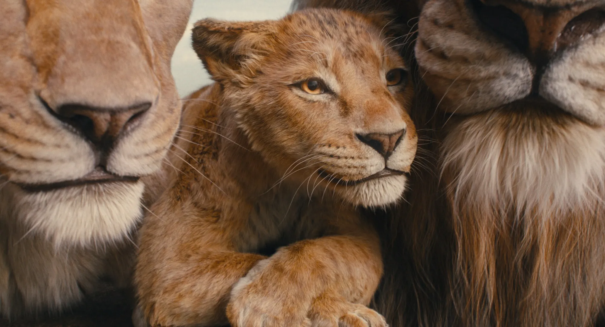 Ce filme și seriale să vizionezi în mini vacanța de Paște pe Disney+
