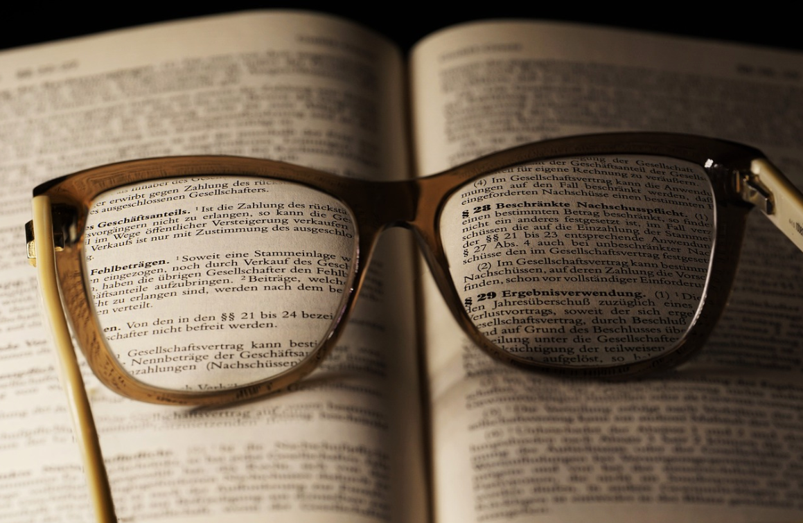 Un thriller care îți pune nervii la încercare: cine e, de fapt, străinul din casa ta?