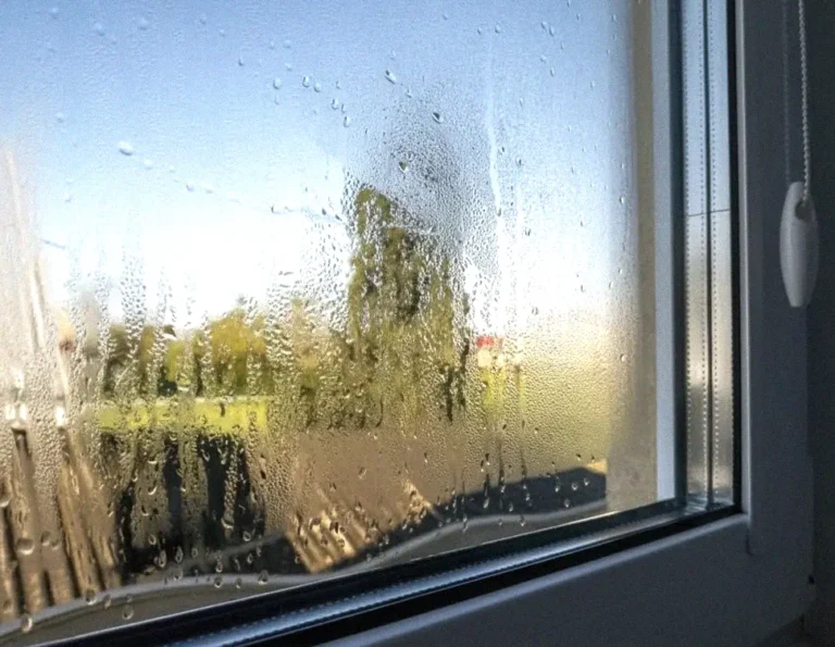 Imported Article – 2025-11-16 07:13:21