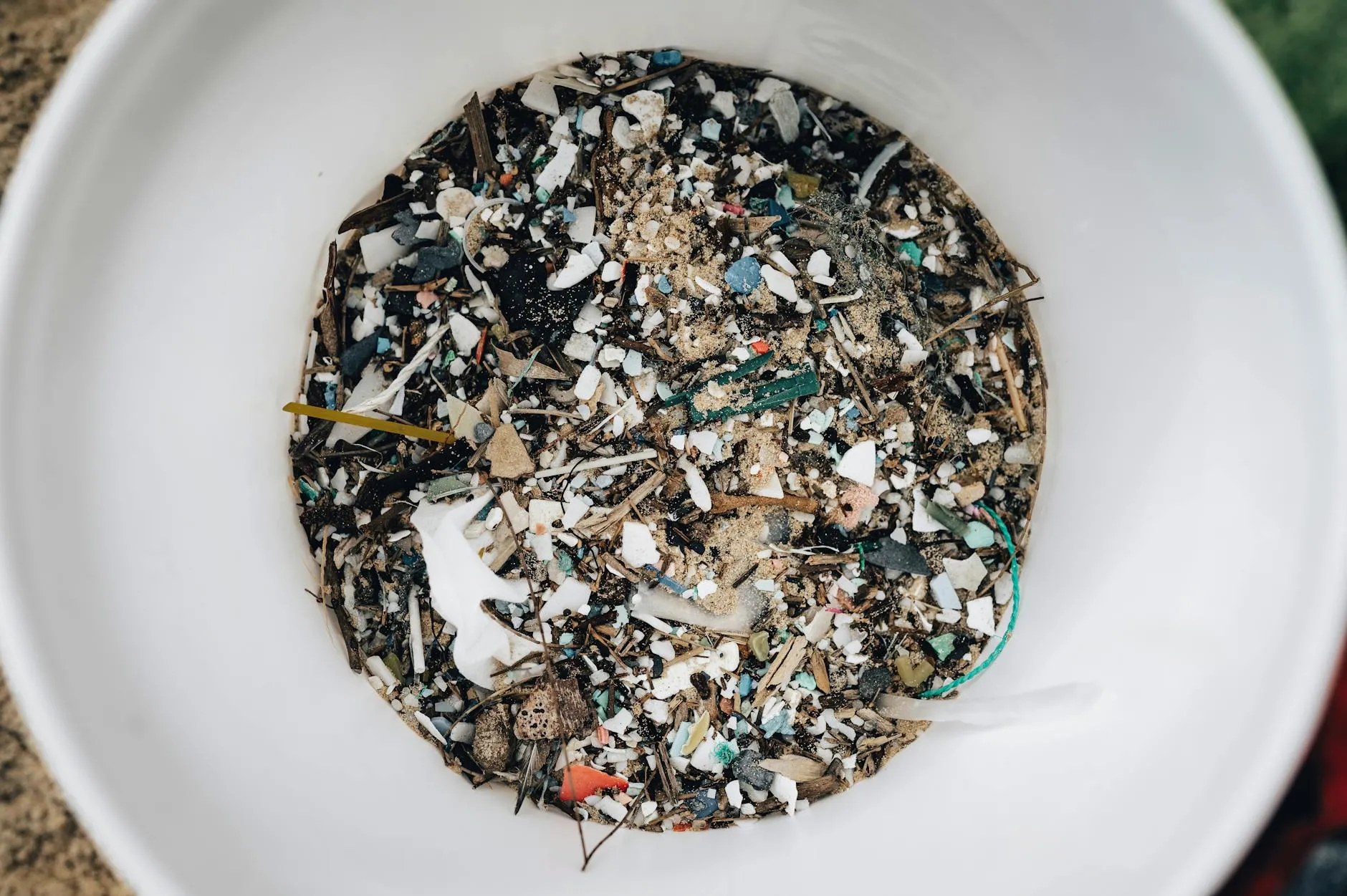 Microplastice în corp – Panică exagerată? Ce spun noile studii despre contaminare