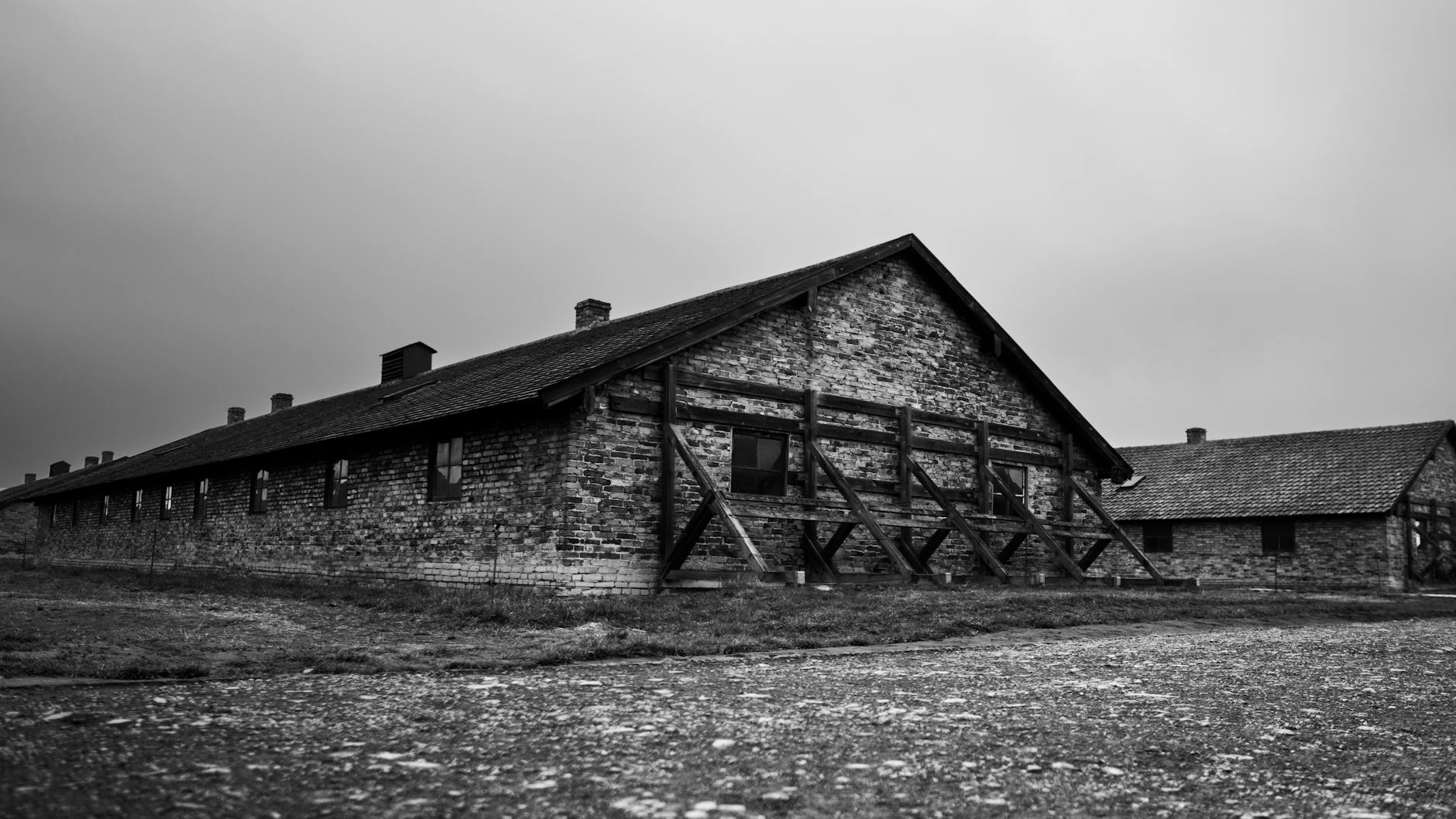 Omenirea n-a învățat nimic” – Scăderea cu 60% a comemorărilor Holocaustului