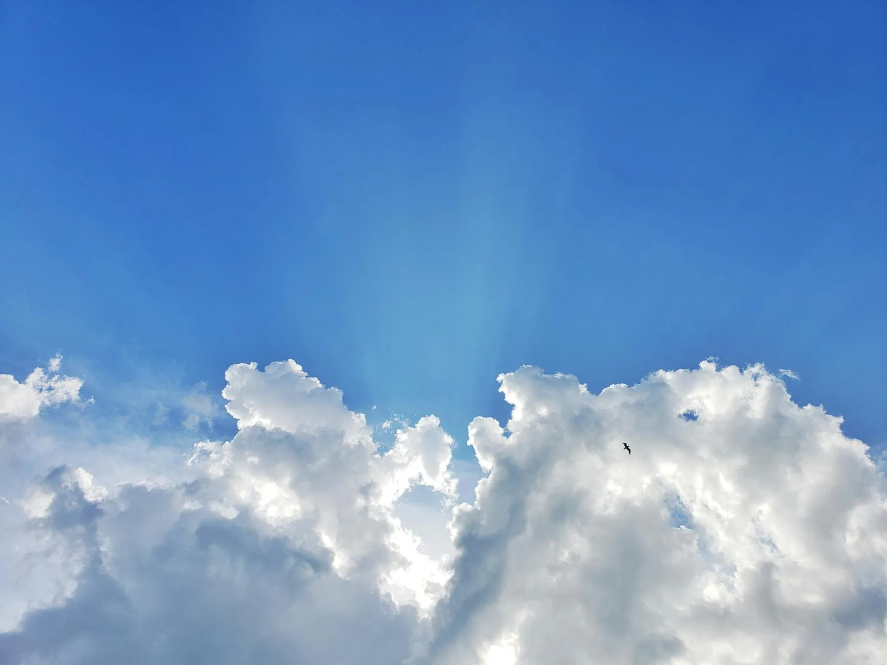 Vremea în România, duminică, 8 martie 2026 – Prognoză meteo pe județe și orașe