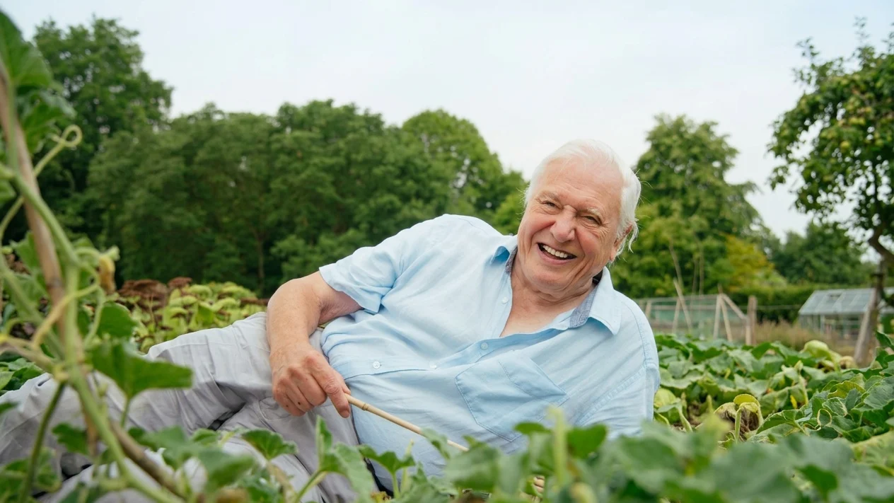 David Attenborough