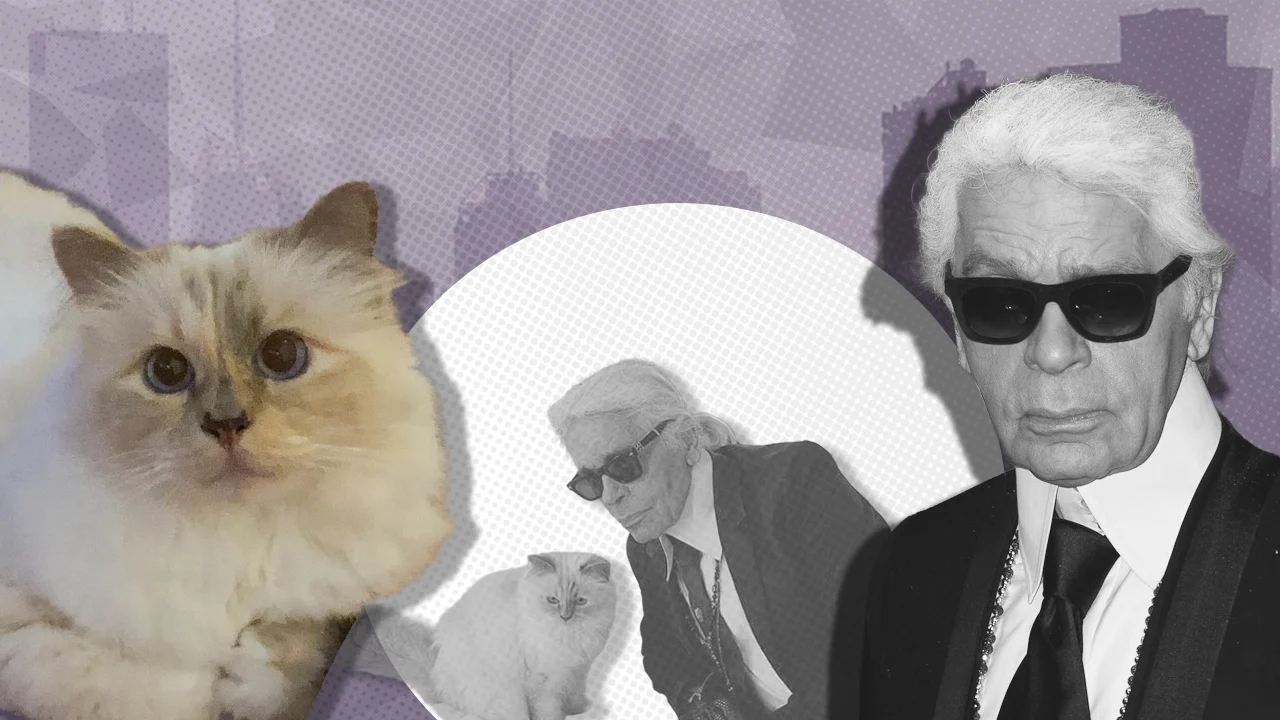 Choupette a rămas fara mostenirea lui Karl Lagerfeld. Fosta menajera plateste avocatii