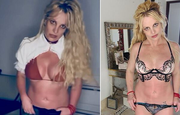 Britney Spears leagă revolta de pe Instagram de un furt din casă, care a privat-o de jumătate din garderobă