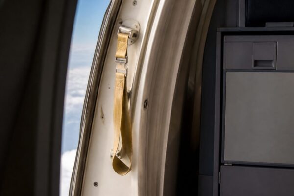 Ljubiša Karović, 61 de ani, tras pe jumătate din avion. Soția l-a ținut de picioare câteva minute și i-a salvat viața