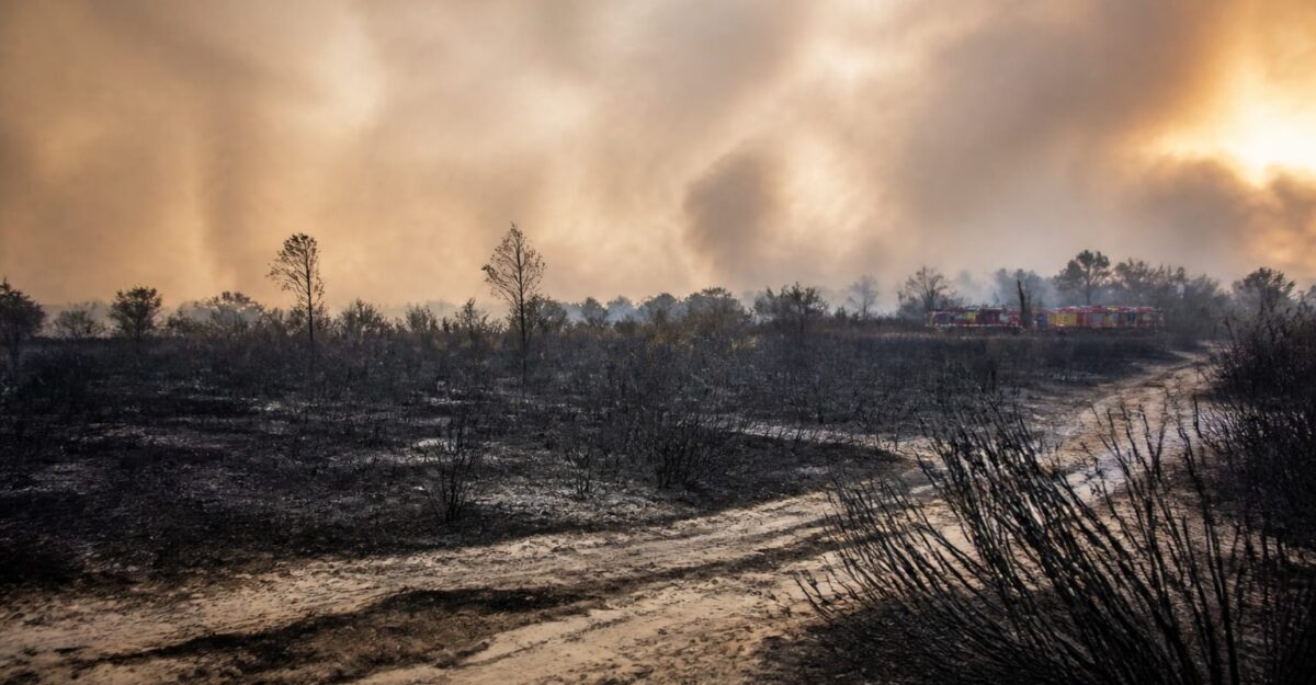 Incendiile din Franța au evacuat 20.000 de oameni din Gironde. Cum scade presiunea pe intervenția din Europa