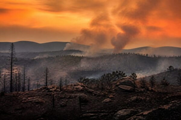 Incendiile devastează Spania, Franța și Sardinia, cu peste 1.200 de evacuați