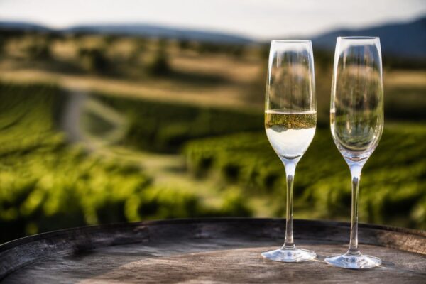 Un cuplu și-a transformat luna de miere din Champagne într-un ritual al gustului