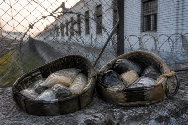 O pisică cu două zgărzi pline cu droguri a fost prinsă la poarta unui penitenciar din Rusia