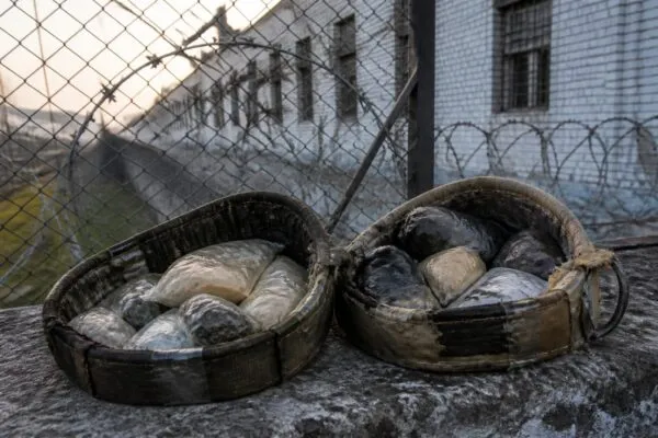 O pisică cu două zgărzi pline cu droguri a fost prinsă la poarta unui penitenciar din Rusia