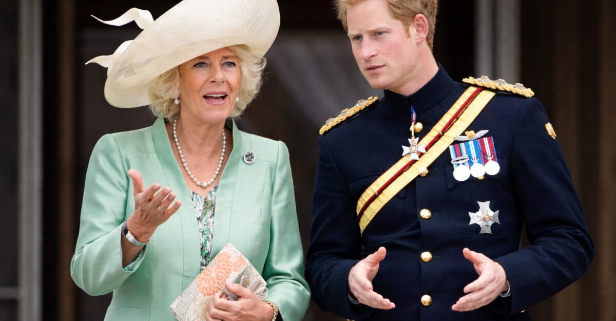 Prințul Harry se lovește de un zid numit Camilla după întâlnirea din 10 iulie