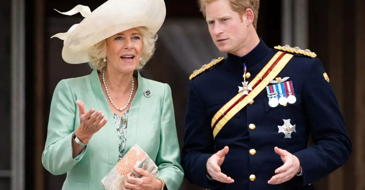 Prințul Harry se lovește de un zid numit Camilla după întâlnirea din 10 iulie