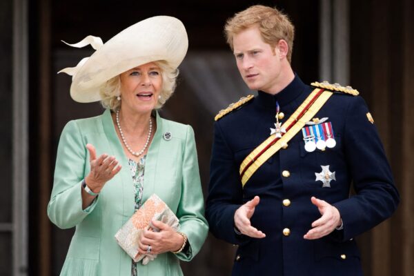 Prințul Harry se lovește de un zid numit Camilla după întâlnirea din 10 iulie
