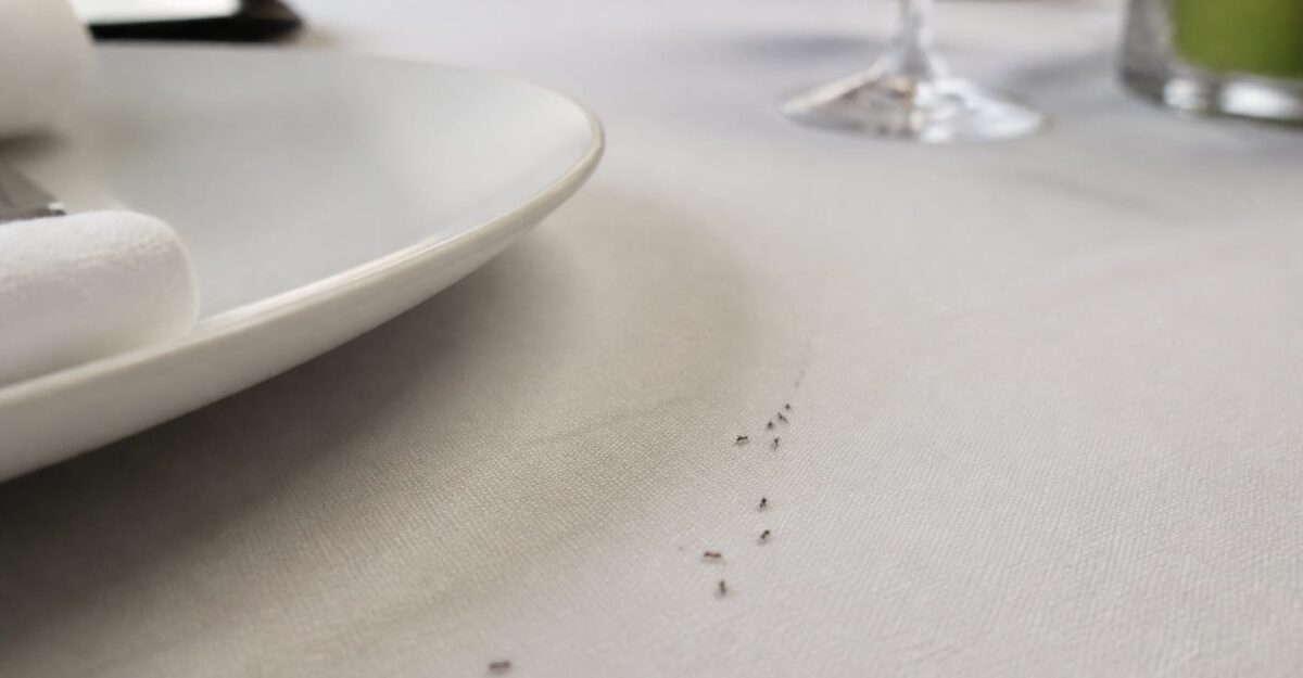 Un restaurant cu două stele Michelin riscă închiderea