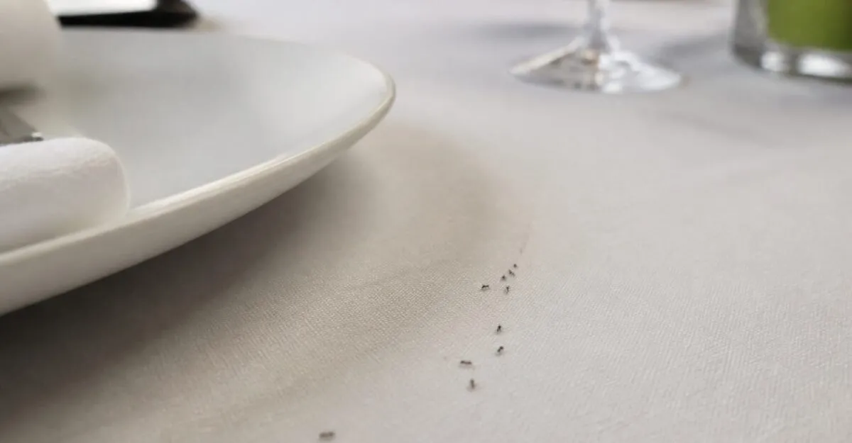 Un restaurant cu două stele Michelin riscă închiderea