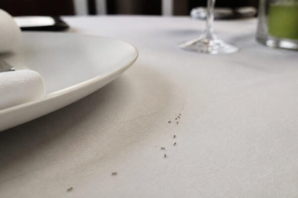 Un restaurant cu două stele Michelin riscă închiderea