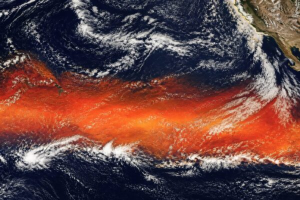 Un Super El Niño extrem de puternic se conturează pentru 2026-2027