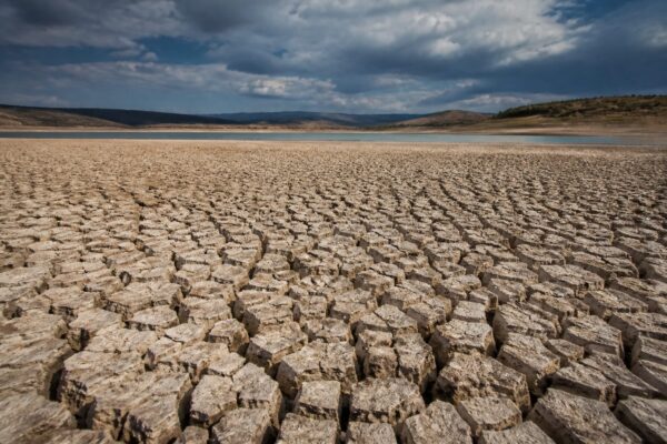 Lacul Vârșolț din Sălaj a pierdut mai mult de jumătate din apă. Nivelul scade cu 2-3 centimetri pe zi