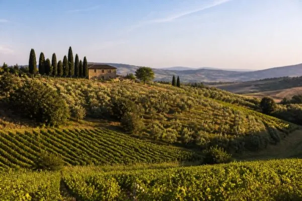 Poți locui gratis în Toscana pentru cel puțin patru luni