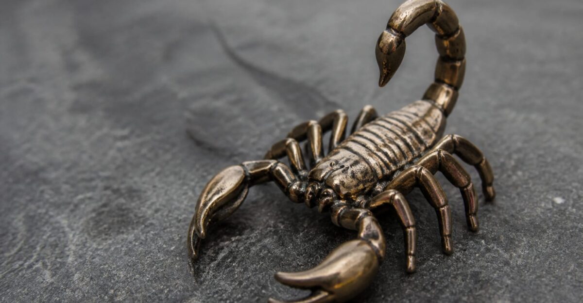 Horoscop 15 septembrie 2026. Scorpion și Săgetător au o decizie de luat azi