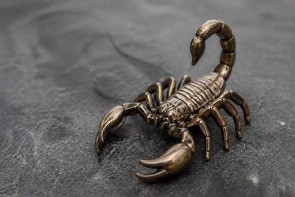 Horoscop 15 septembrie 2026. Scorpion și Săgetător au o decizie de luat azi